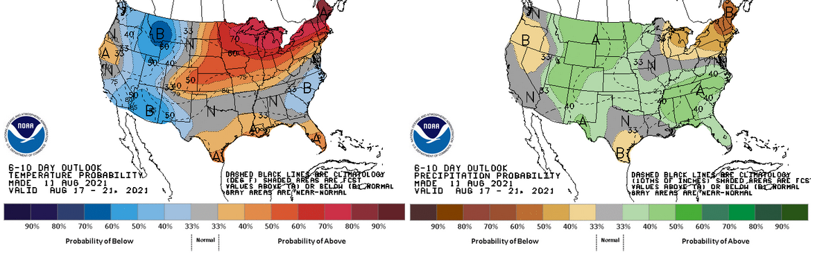 The 6-10 day outlook